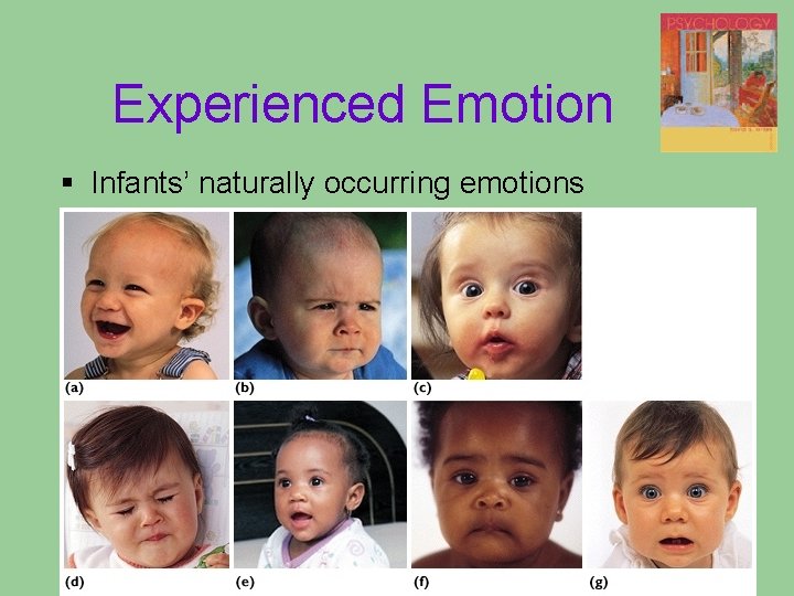 Experienced Emotion § Infants’ naturally occurring emotions Experienced Emotion § Infants’ naturally occurring emotions