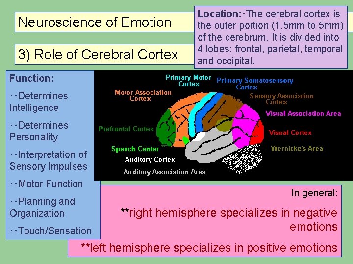 Neuroscience of Emotion 3) Role of Cerebral Cortex Location: ・The cerebral cortex is the Neuroscience of Emotion 3) Role of Cerebral Cortex Location: ・The cerebral cortex is the