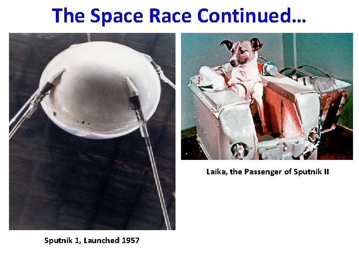 The Space Race Continued… Laika, the Passenger of Sputnik II Sputnik 1, Launched 1957