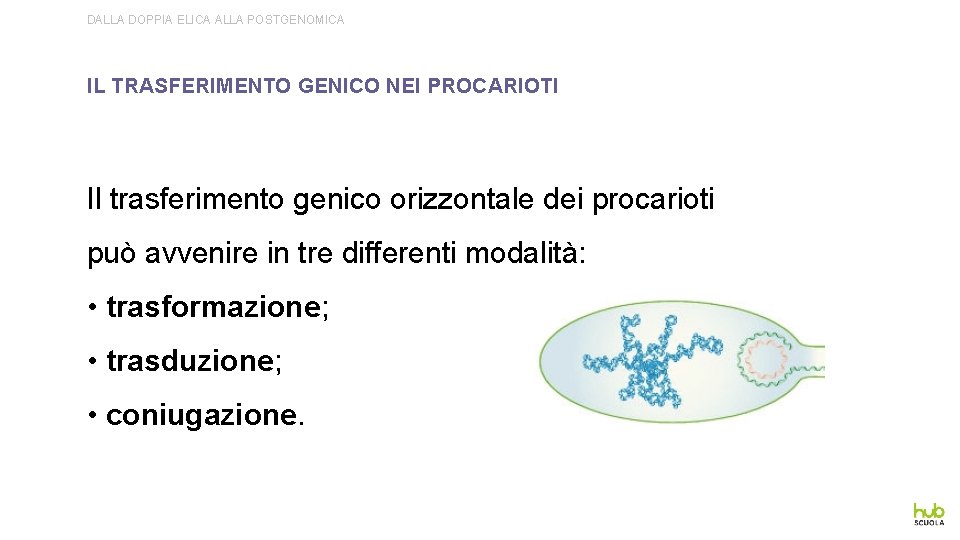 DALLA DOPPIA ELICA ALLA POSTGENOMICA IL TRASFERIMENTO GENICO NEI PROCARIOTI Il trasferimento genico orizzontale