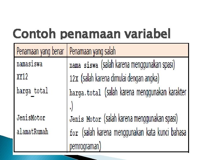 Contoh penamaan variabel 