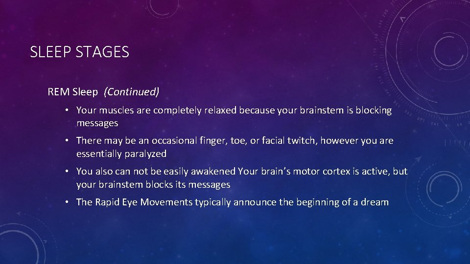 SLEEP STAGES REM Sleep (Continued) • Your muscles are completely relaxed because your brainstem