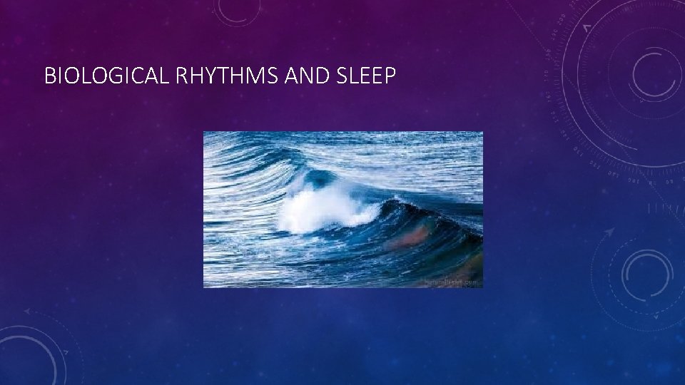 BIOLOGICAL RHYTHMS AND SLEEP 