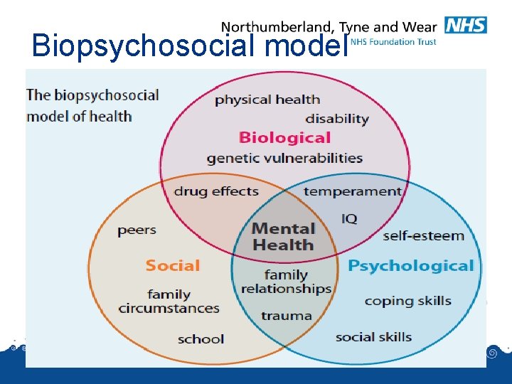 Biopsychosocial model Biopsychosocial model