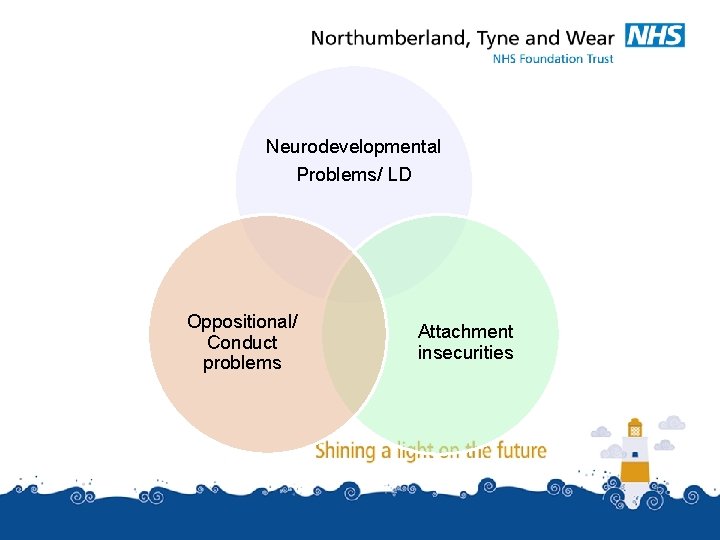 Neurodevelopmental Problems/ LD Oppositional/ Conduct problems Attachment insecurities Neurodevelopmental Problems/ LD Oppositional/ Conduct problems Attachment insecurities