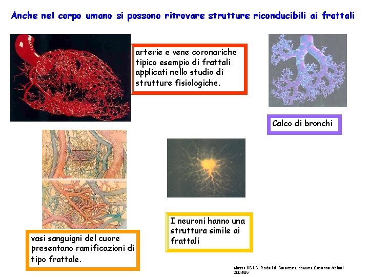 Anche nel corpo umano si possono ritrovare strutture riconducibili ai frattali arterie e vene