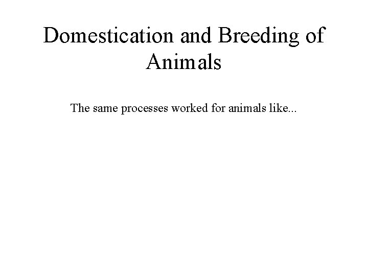 Domestication and Breeding of Animals The same processes worked for animals like. . .