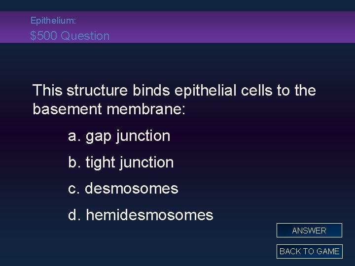 Epithelium: $500 Question This structure binds epithelial cells to the basement membrane: a. gap