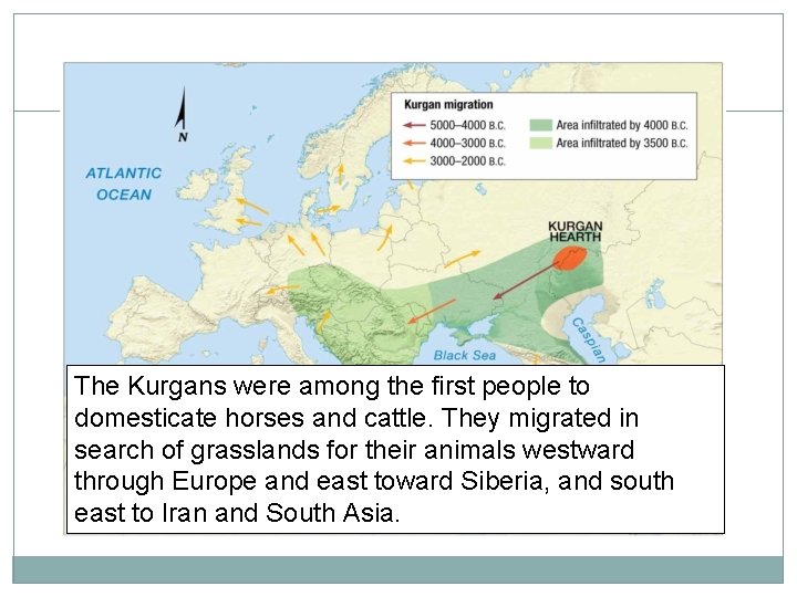 The Kurgans were among the first people to domesticate horses and cattle. They migrated