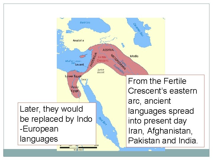 Later, they would be replaced by Indo -European languages From the Fertile Crescent’s eastern