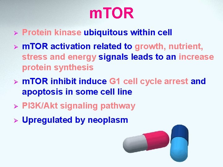 m. TOR Ø Protein kinase ubiquitous within cell Ø m. TOR activation related to