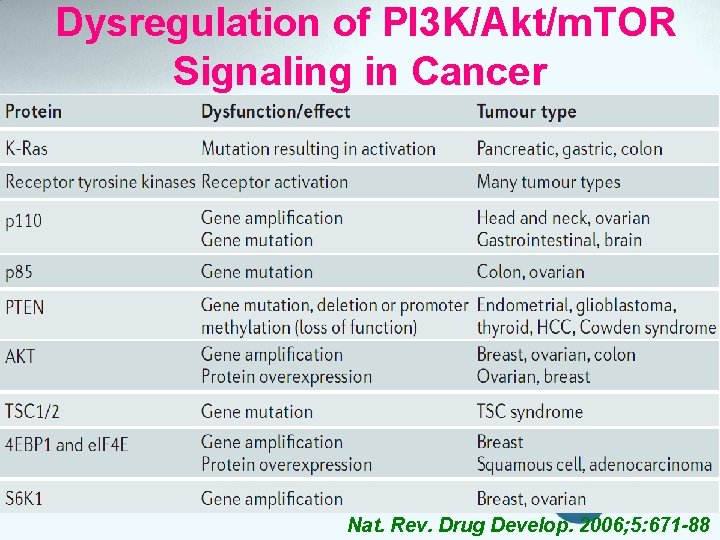 Dysregulation of PI 3 K/Akt/m. TOR Signaling in Cancer Nat. Rev. Drug Develop. 2006;