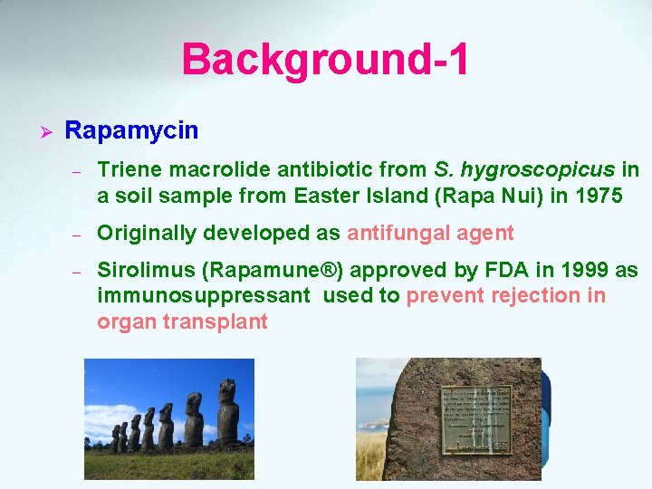 Background-1 Ø Rapamycin – Triene macrolide antibiotic from S. hygroscopicus in a soil sample