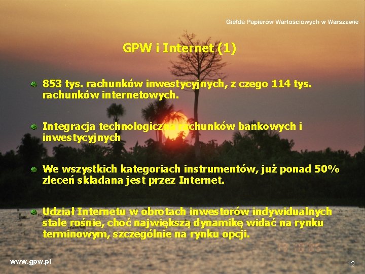 GPW i Internet (1) 853 tys. rachunków inwestycyjnych, z czego 114 tys. rachunków internetowych.