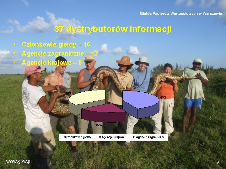 37 dystrybutorów informacji • Członkowie giełdy – 16 • Agencje zagraniczne – 13 •