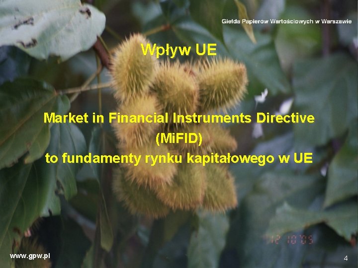 Wpływ UE Market in Financial Instruments Directive (Mi. FID) to fundamenty rynku kapitałowego w