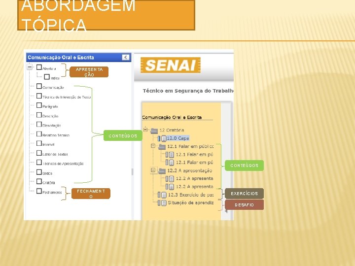 ABORDAGEM TÓPICA APRESENTA ÇÃO CONTEÚDOS FECHAMENT O EXERCÍCIOS DESAFIO 
