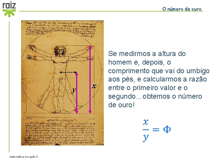 O número de ouro y x Se medirmos a altura do homem e, depois,