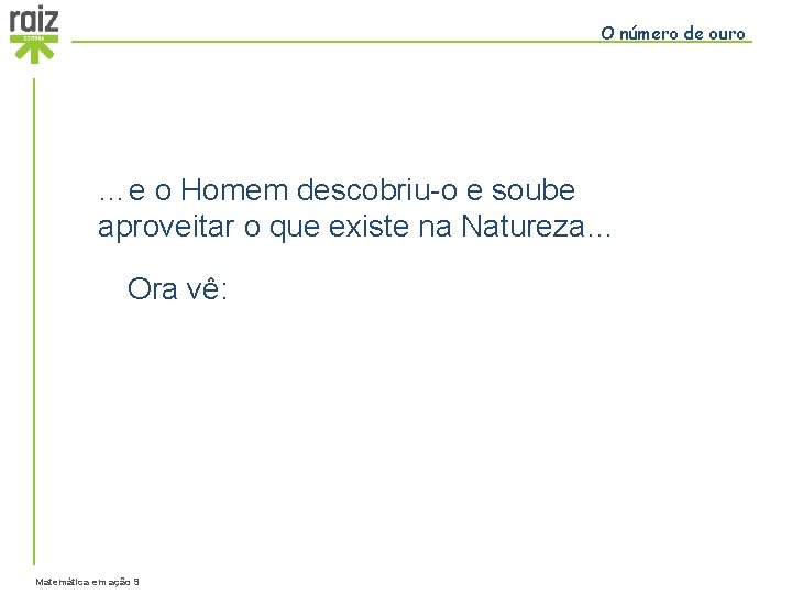 O número de ouro …e o Homem descobriu-o e soube aproveitar o que existe