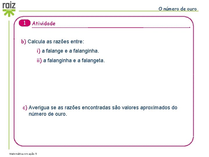 O número de ouro 1 Atividade b) Calcula as razões entre: i) a falange