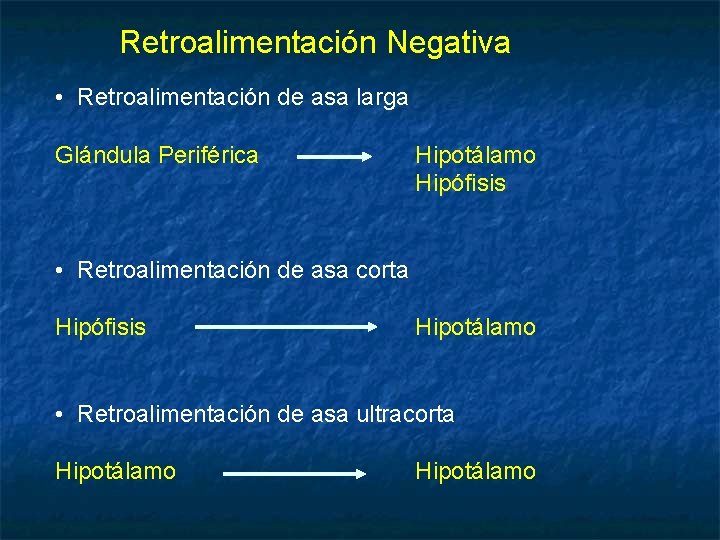 Retroalimentación Negativa • Retroalimentación de asa larga Glándula Periférica Hipotálamo Hipófisis • Retroalimentación de