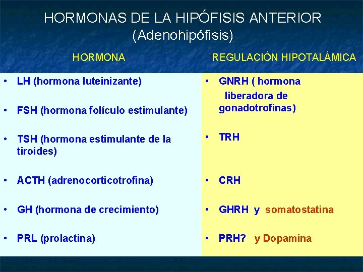 HORMONAS DE LA HIPÓFISIS ANTERIOR (Adenohipófisis) HORMONA • LH (hormona luteinizante) • FSH (hormona