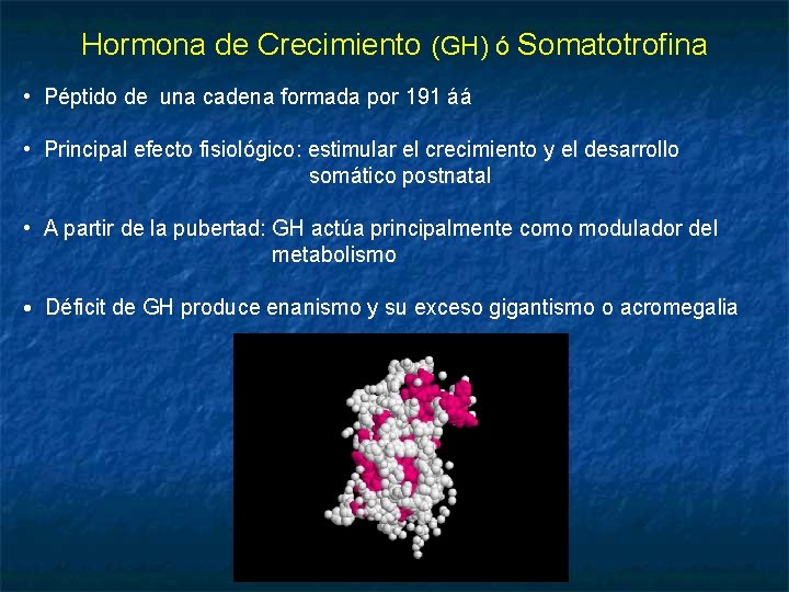 Hormona de Crecimiento (GH) ó Somatotrofina • Péptido de una cadena formada por 191