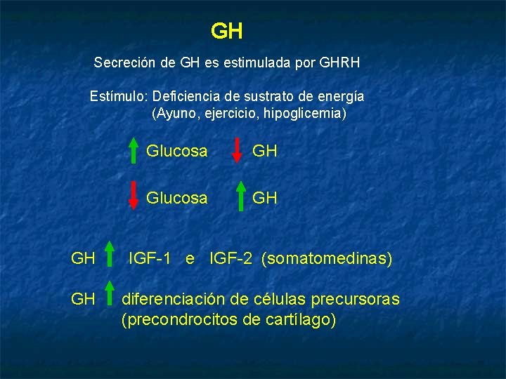 GH Secreción de GH es estimulada por GHRH Estímulo: Deficiencia de sustrato de energía