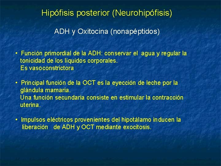Hipófisis posterior (Neurohipófisis) ADH y Oxitocina (nonapéptidos) • Función primordial de la ADH: conservar