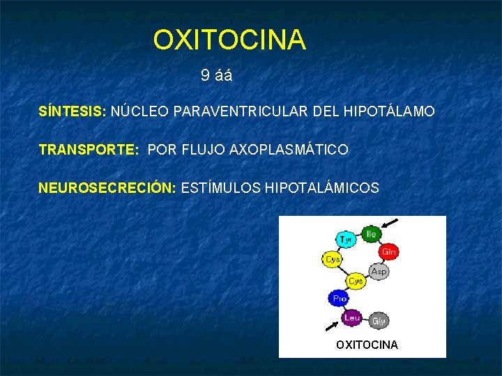 OXITOCINA 9 áá SÍNTESIS: NÚCLEO PARAVENTRICULAR DEL HIPOTÁLAMO TRANSPORTE: POR FLUJO AXOPLASMÁTICO NEUROSECRECIÓN: ESTÍMULOS