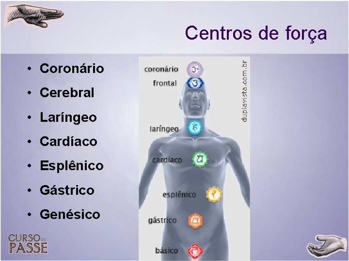 Centros de força • Coronário • Cerebral • Laríngeo • Cardíaco • Esplênico •