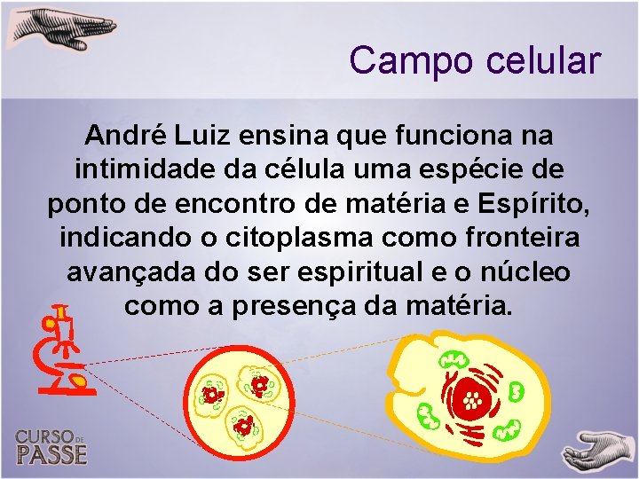 Campo celular André Luiz ensina que funciona na intimidade da célula uma espécie de