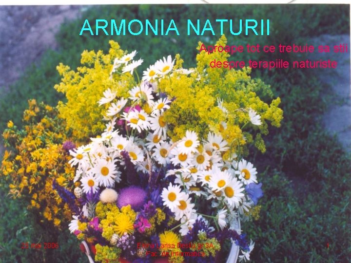 ARMONIA NATURII Aproape tot ce trebuie sa stii despre terapiile naturiste 25 mai 2006
