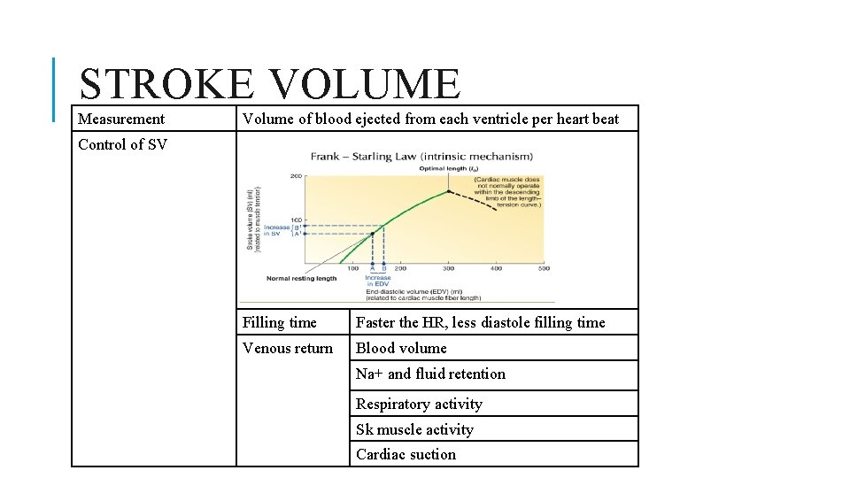 STROKE VOLUME Measurement Volume of blood ejected from each ventricle per heart beat Control