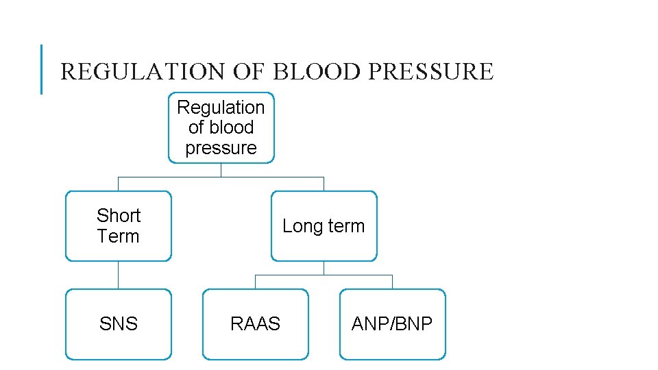 REGULATION OF BLOOD PRESSURE Regulation of blood pressure Short Term SNS Long term RAAS