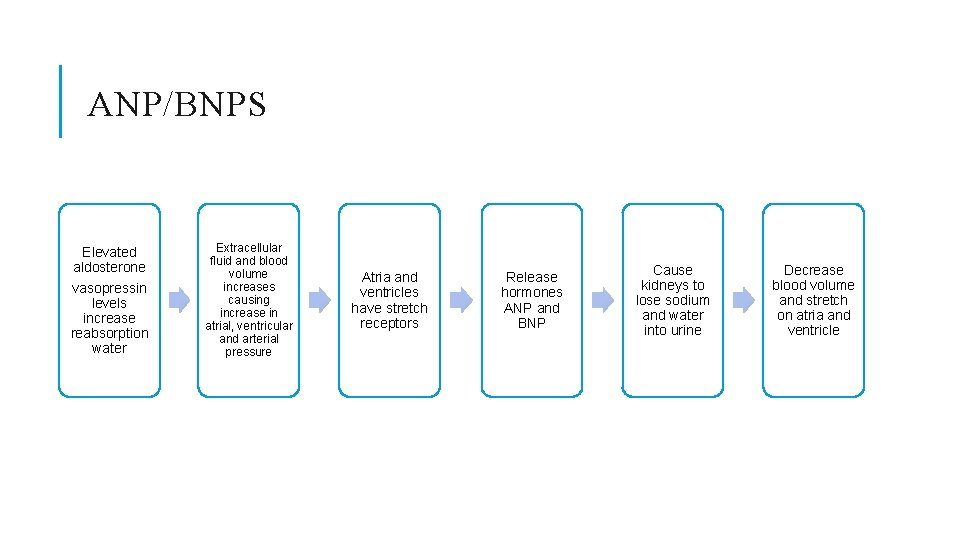 ANP/BNPS Elevated aldosterone vasopressin levels increase reabsorption water Extracellular fluid and blood volume increases