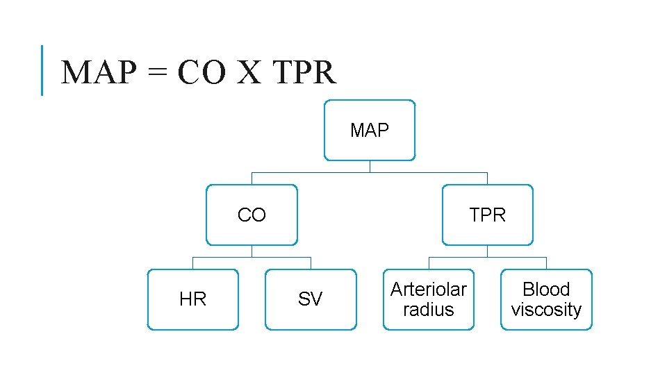 MAP = CO X TPR MAP CO HR TPR SV Arteriolar radius Blood viscosity