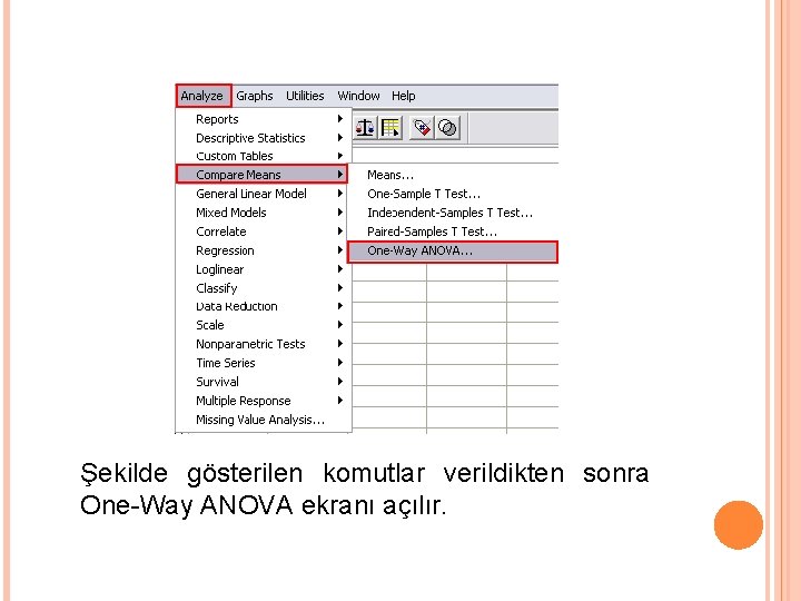 Şekilde gösterilen komutlar verildikten sonra One-Way ANOVA ekranı açılır. 