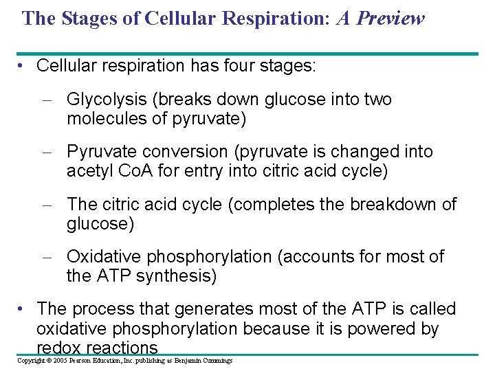 The Stages of Cellular Respiration: A Preview • Cellular respiration has four stages: –