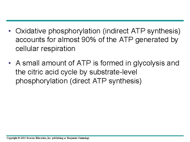  • Oxidative phosphorylation (indirect ATP synthesis) accounts for almost 90% of the ATP