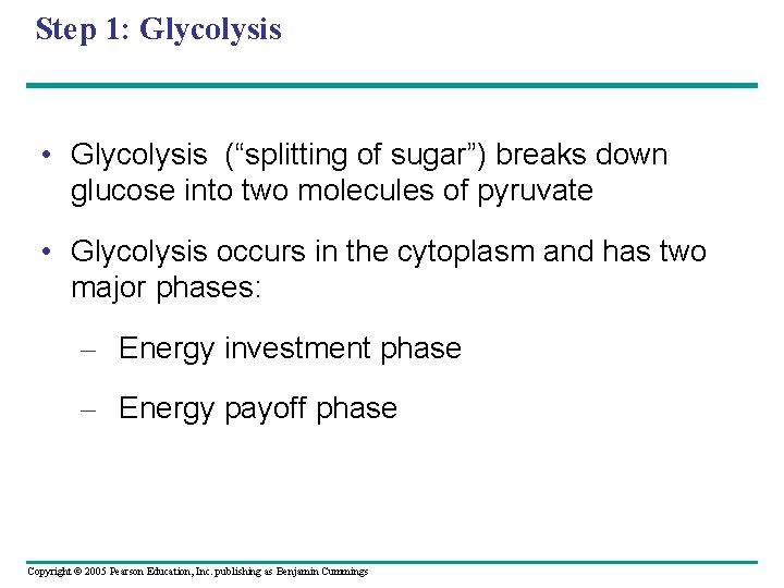 Step 1: Glycolysis • Glycolysis (“splitting of sugar”) breaks down glucose into two molecules