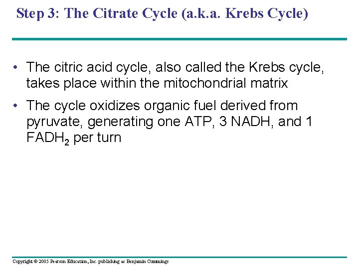 Step 3: The Citrate Cycle (a. k. a. Krebs Cycle) • The citric acid