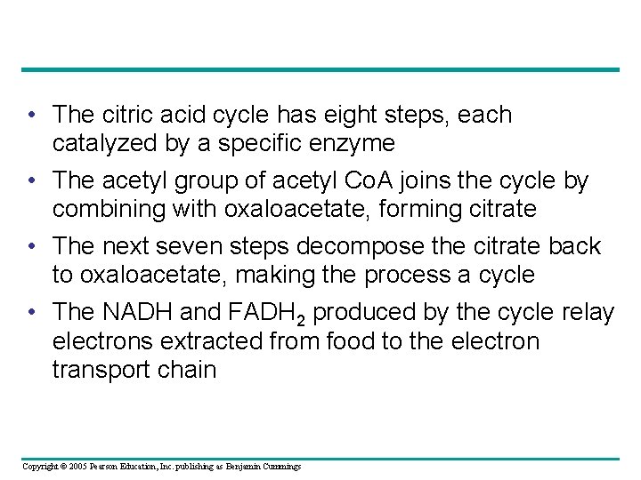  • The citric acid cycle has eight steps, each catalyzed by a specific