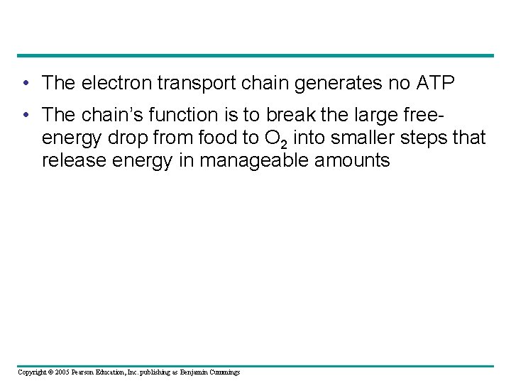  • The electron transport chain generates no ATP • The chain’s function is