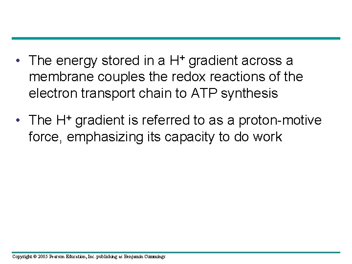  • The energy stored in a H+ gradient across a membrane couples the