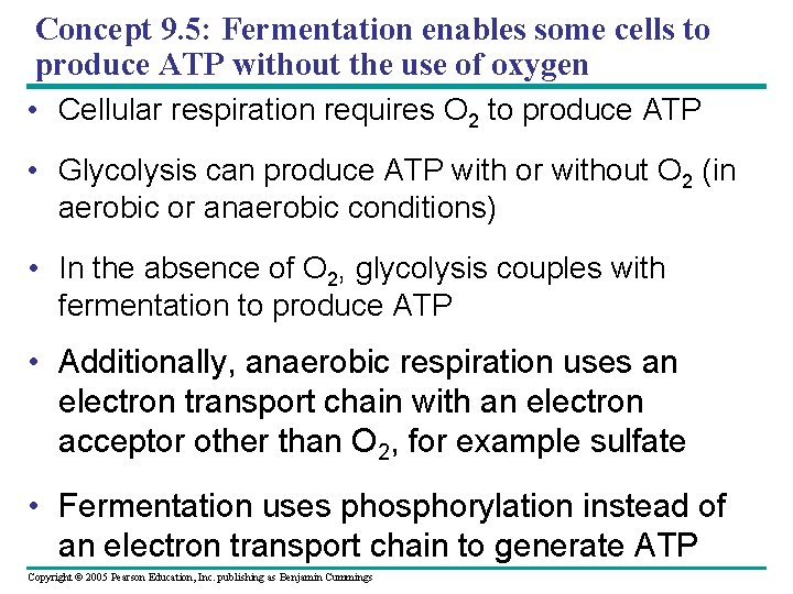 Concept 9. 5: Fermentation enables some cells to produce ATP without the use of