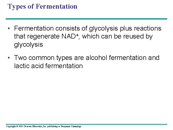 Types of Fermentation • Fermentation consists of glycolysis plus reactions that regenerate NAD+, which