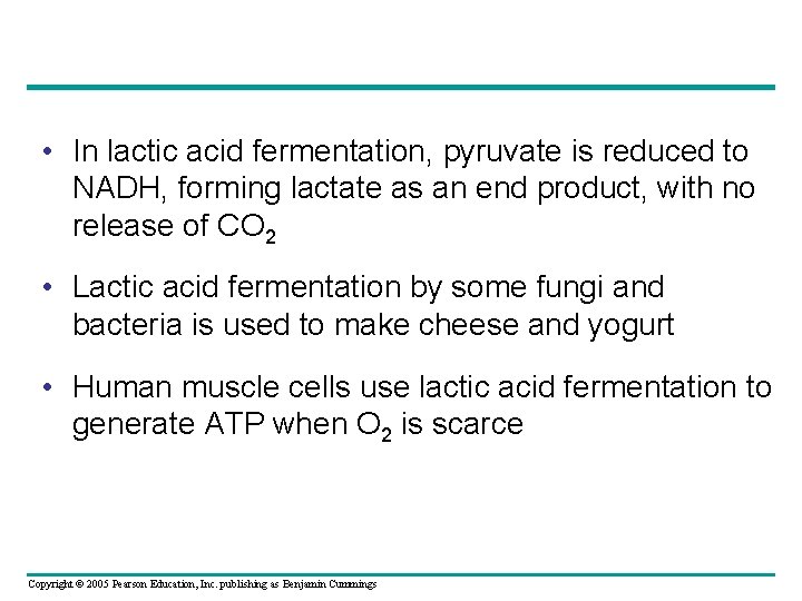  • In lactic acid fermentation, pyruvate is reduced to NADH, forming lactate as