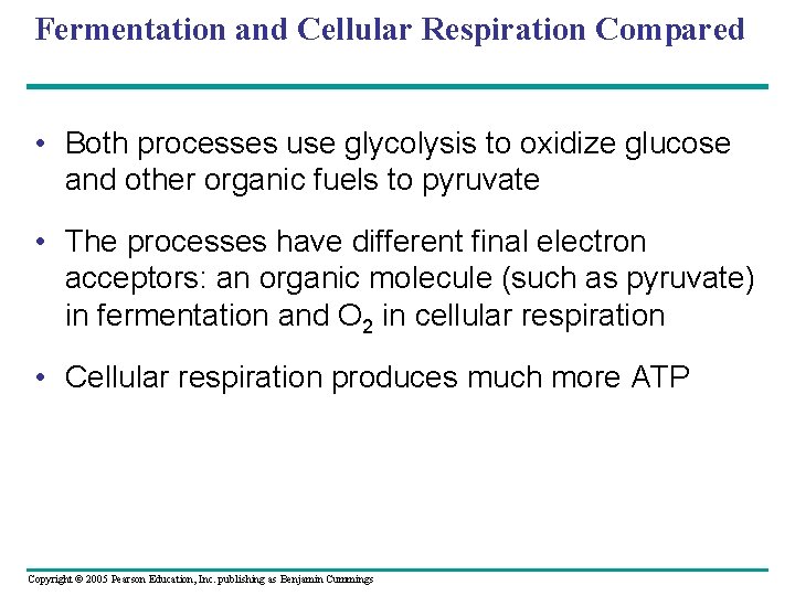 Fermentation and Cellular Respiration Compared • Both processes use glycolysis to oxidize glucose and