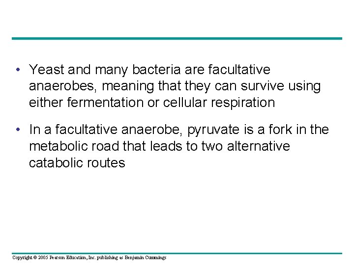  • Yeast and many bacteria are facultative anaerobes, meaning that they can survive